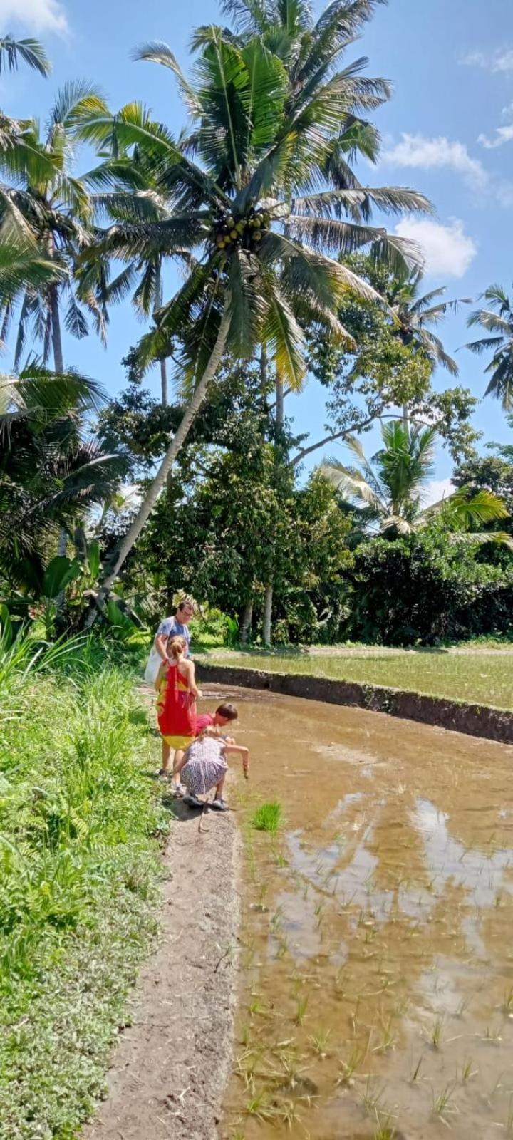 D'Sari Undisan Houses Bangli Buitenkant foto