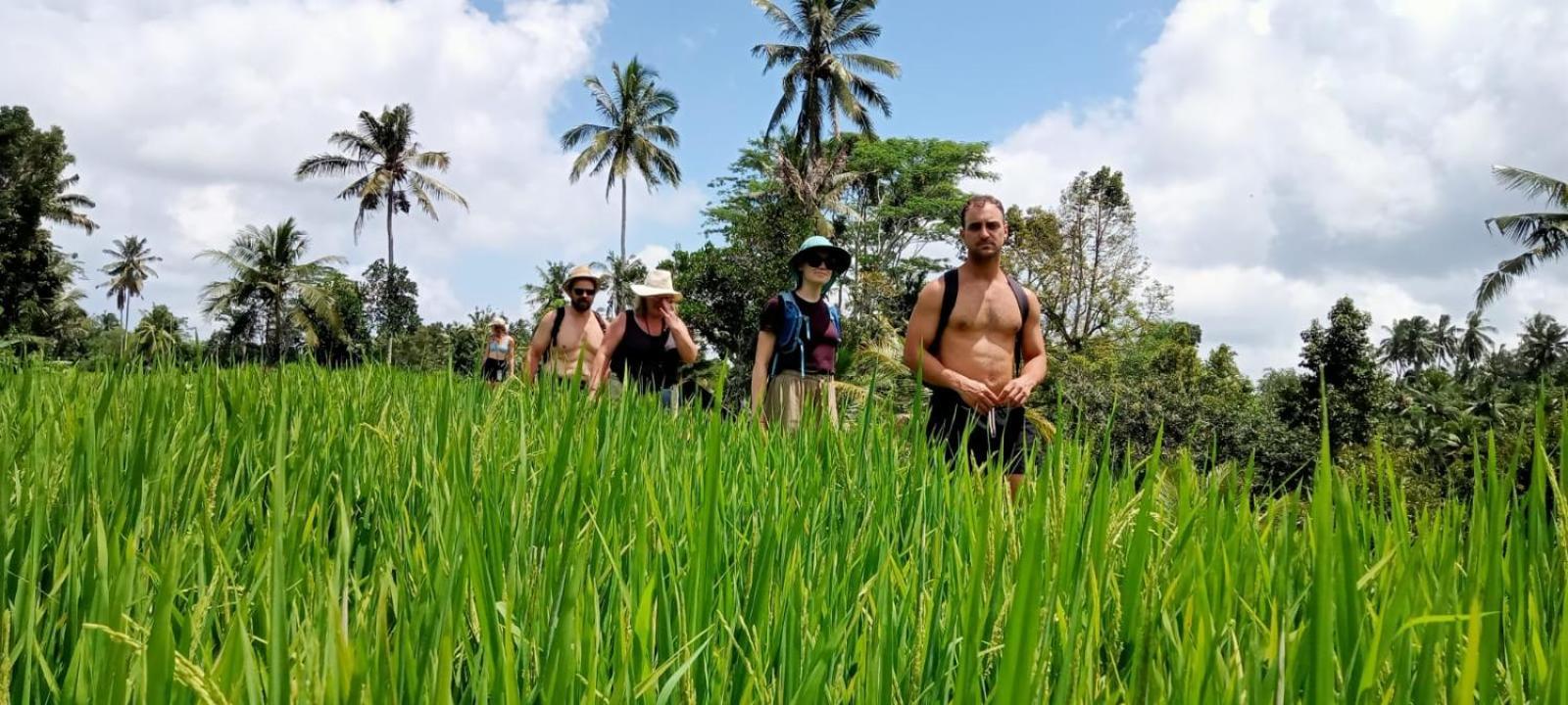 D'Sari Undisan Houses Bangli Buitenkant foto