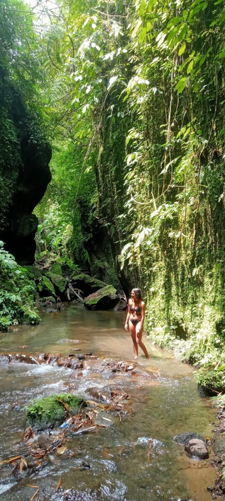 D'Sari Undisan Houses Bangli Buitenkant foto