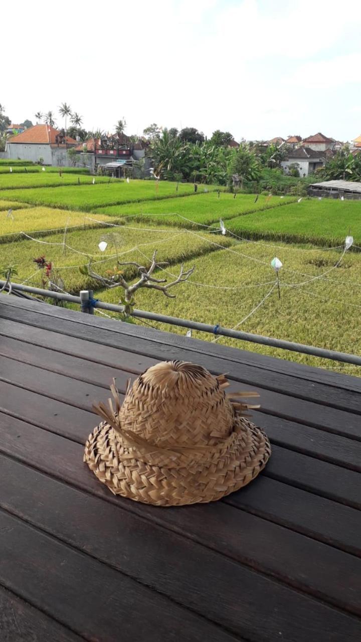 D'Sari Undisan Houses Bangli Buitenkant foto